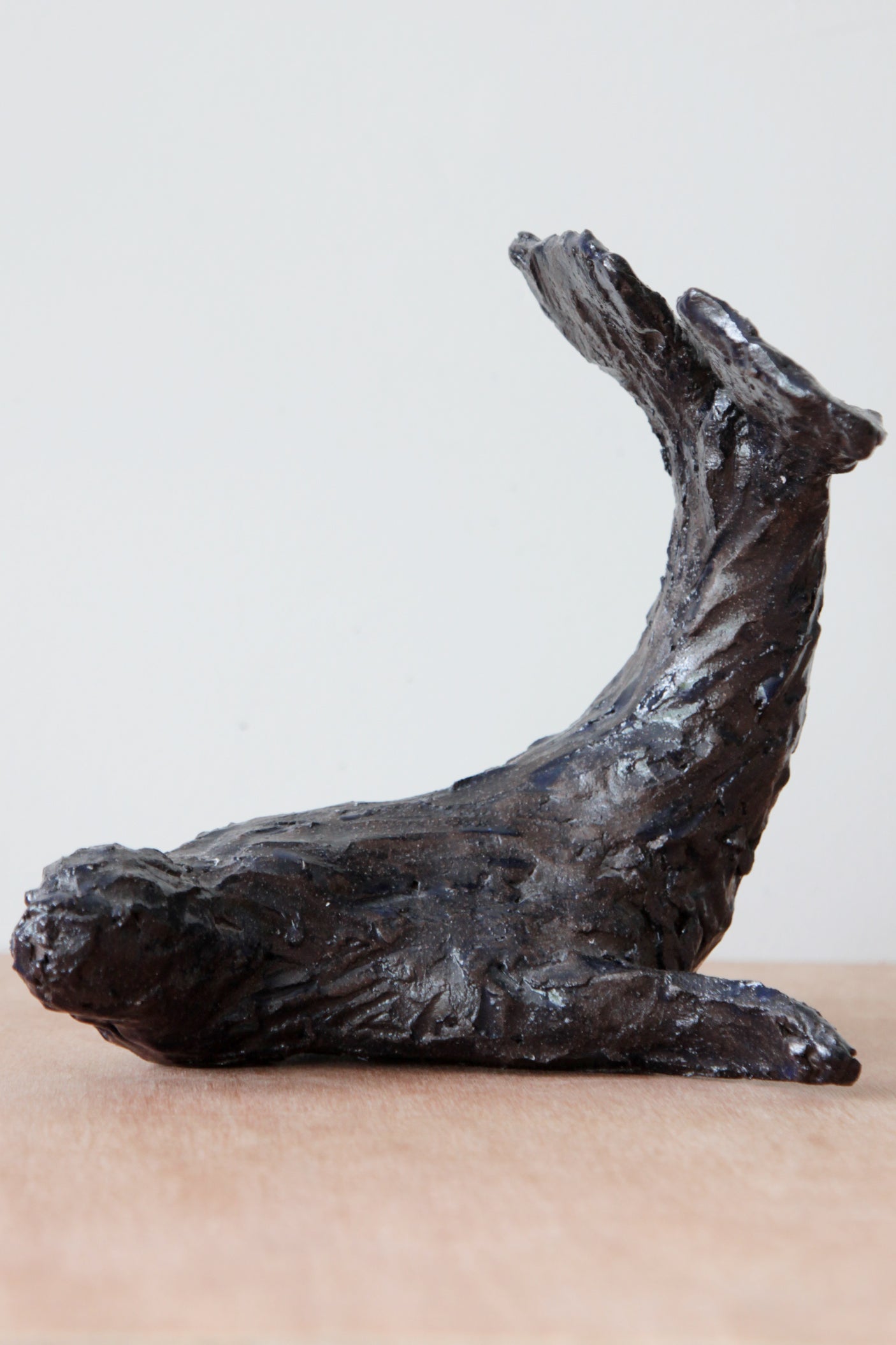 zeehond