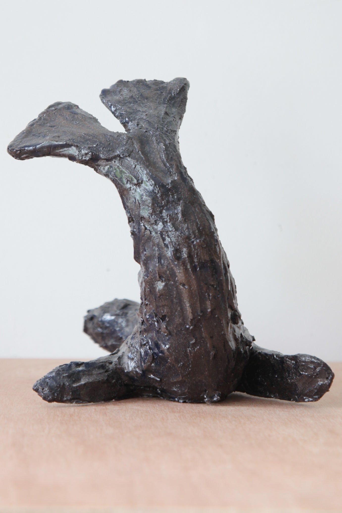 zeehond