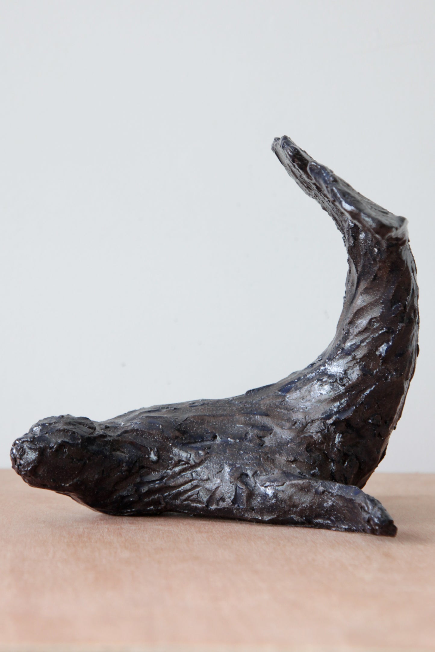 zeehond