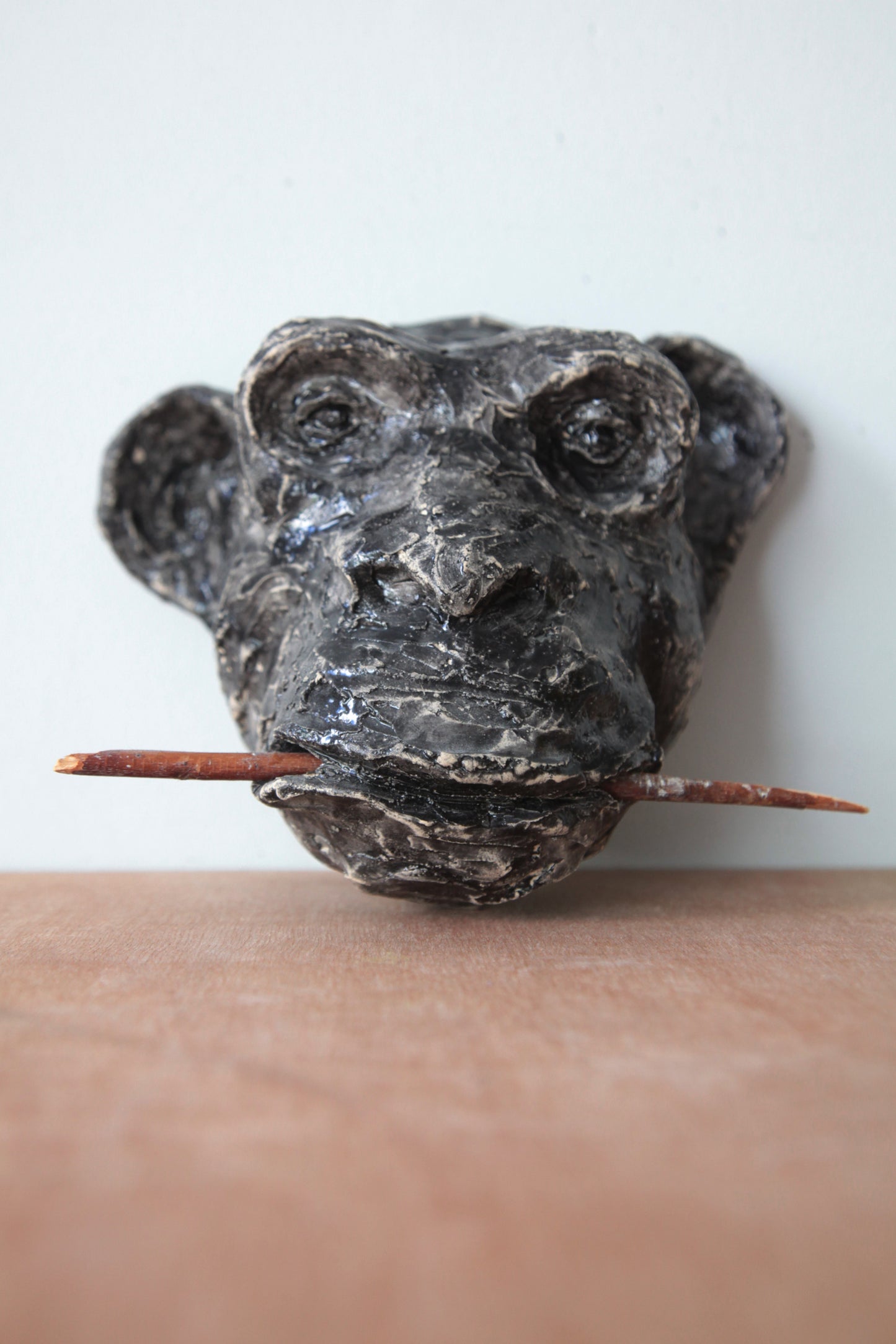 chimpansee met stok