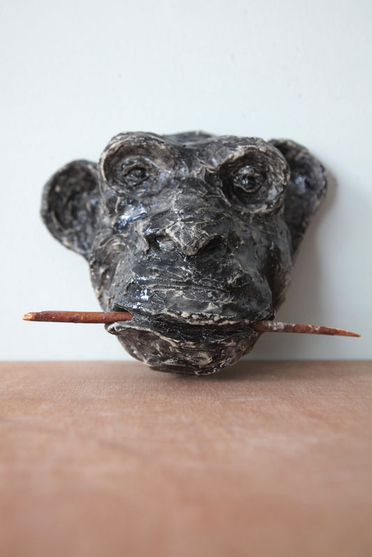 chimpansee met stok