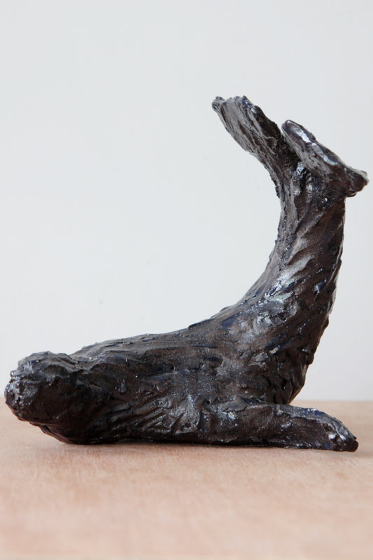 zeehond